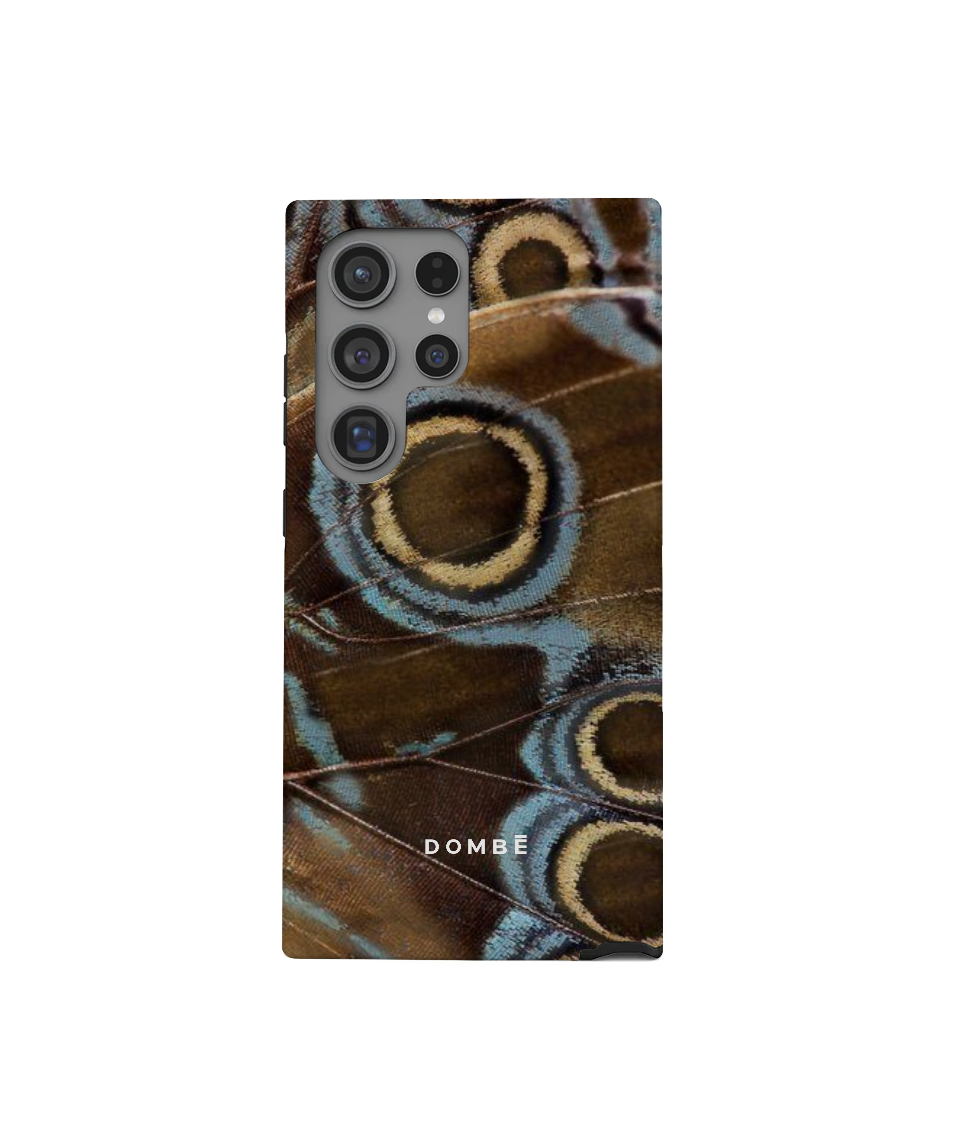 Azure Wing - DOMBĒ