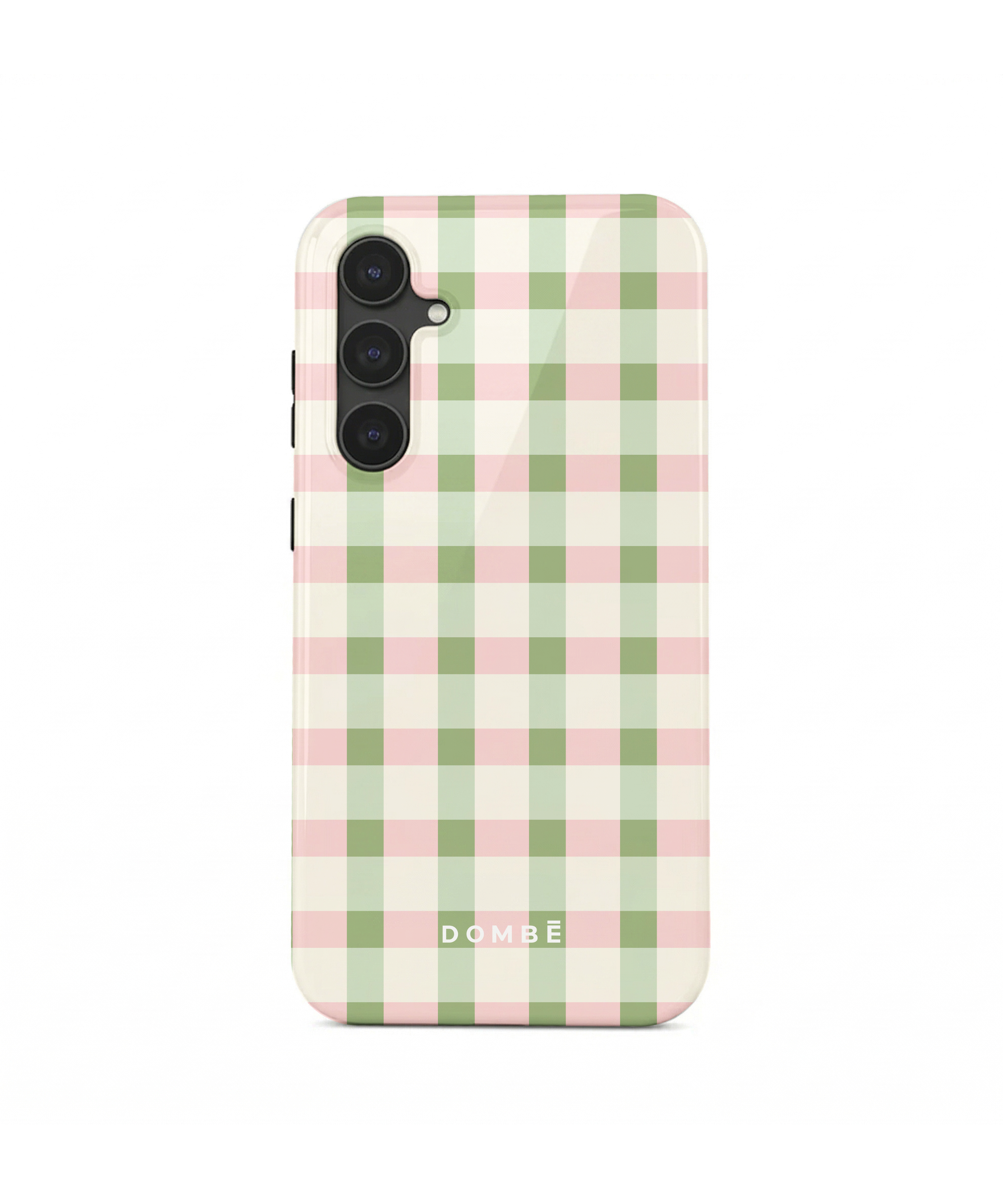 Sage Picnic Check