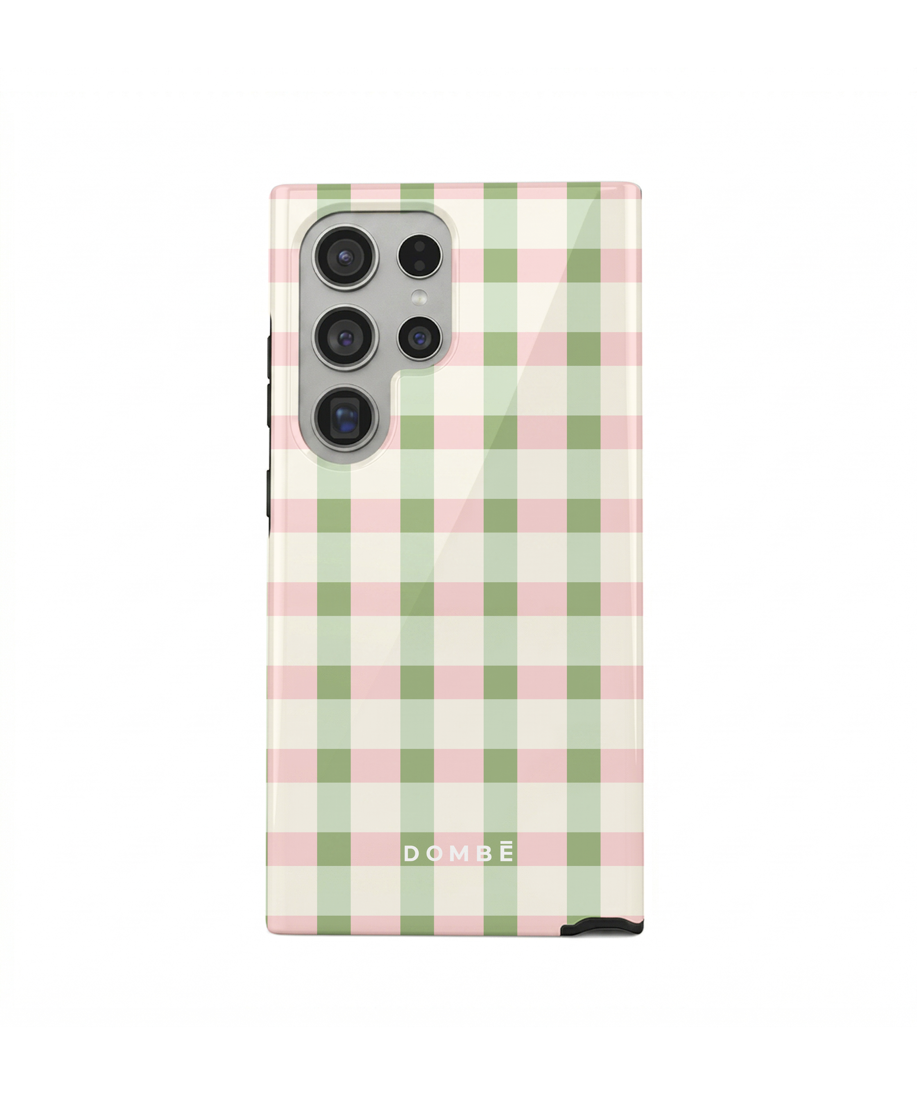 Sage Picnic Check