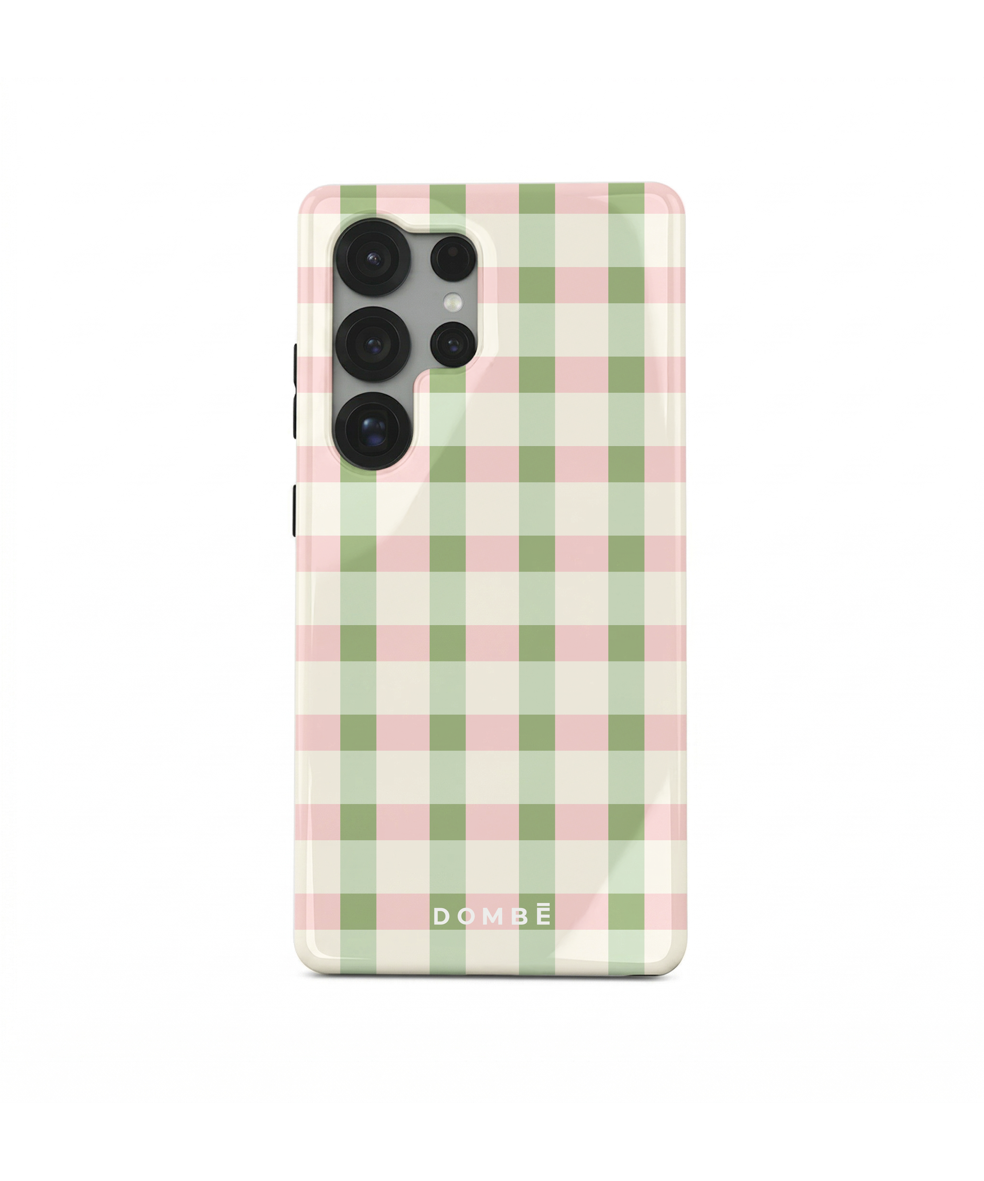 Sage Picnic Check